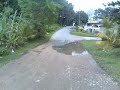 pgrm Johor YB Dato Teo Kok Chee monitoring desa skudai road
