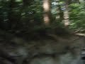 Fraser Island cooler spill
