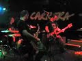 CARRERA - Yumbo Bunnik