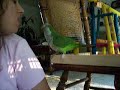 Kimberly tounge lashing Quaker parrot Otis