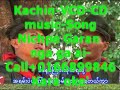 fashion-show-with-kachin-culture-designs.html