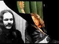 Rory gallagher  irish tour (1974) i wonder who