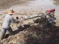 Working at rice field