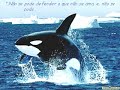 Ecologia