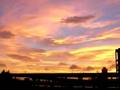 060918秋は夕暮れ