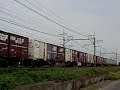 東北本線（宇都宮線）　栗橋～東鷲宮今回は被りばっかり・・・http://doranekohimeneko.at.webry.info/200709/article_15.html