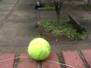 Bounce