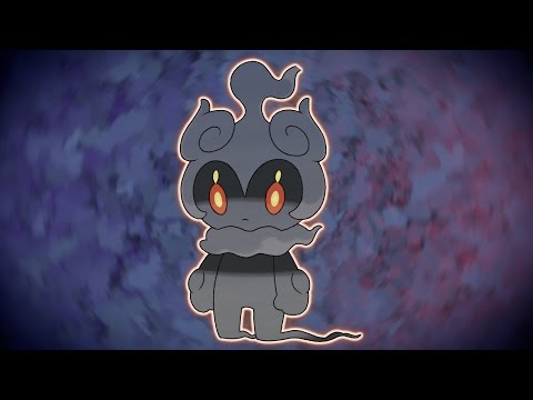 Vidéo 1