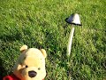Pooh and the Toadstool