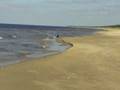 videos de Tishka skrien