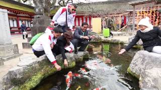  AMWAY Việt Nam: ALS tại Nhật Bản, 2014