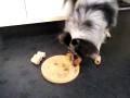 02122008002.mp4