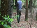 Ver vídeo