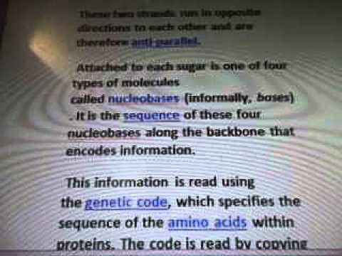 Line 25a3 DNA Polymers Nucleotides Sequences Archaea Cyctoplasm Proteins  WOW SETI