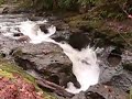 Cedar Falls
