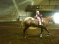 videos de Great All Round Mare For Sale - Sunday