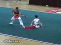 kung fu show