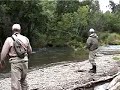 Rainbow Trout jumps over log