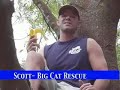 Cats Helping Monkeys - Big Cat TV