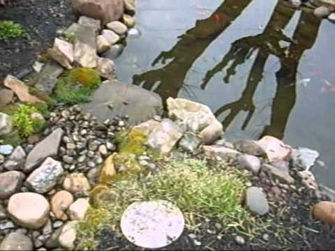 how to detect a leak in a koi pond