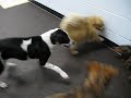 Little Pack Play Little Pack Play