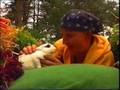 Mijn konijn - Ernst, Bobbie en de rest