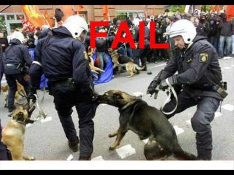 Epic Fail montage ULTIMATE COLECTION