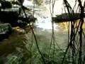 Assistir ao v�deo