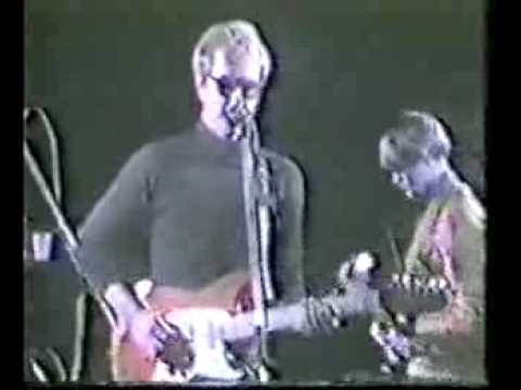 go betweens cattle & cane live