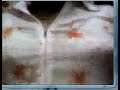 webcam msn bra