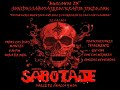 Sonido Sabotaje Rock (THE RADIATORS BOOMERANG).wmv
