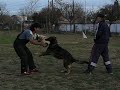 Practicas de batidas al biombo con obtaculos (mack)