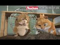 Auchan rekl�m