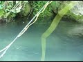Fly Fishing Pescando sul Nera parte 1