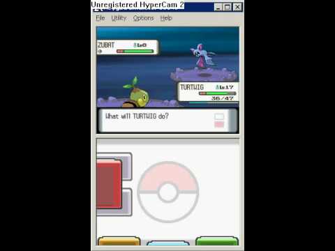 tertwig