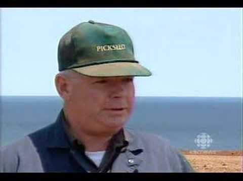 CBC Compass Story on L.M. Montgomery ...