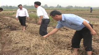 Potatoes minimum land use