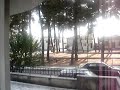 my dogs going crazy with the man selling vegetables :p