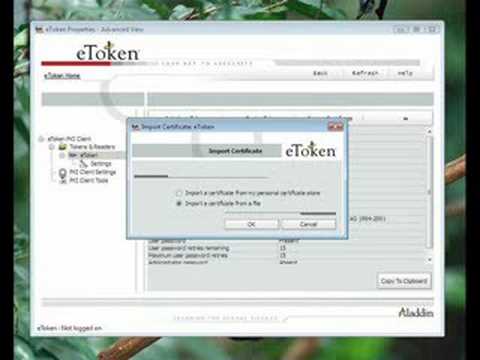 how to pki enable a website