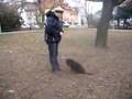 Rotvajler Video