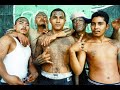 The Game-west coast gangs (los angeles)