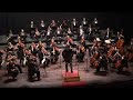 Beethoven- Sinfonia N°5- Orchestra Sinfonica 