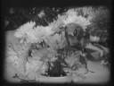 Made in 1974 by Bristol Cine Society. The locations are all in Bristol and not doctored in any way. The rubbish in the streets is real and not placed there. Laurie Booth was the cameraman.