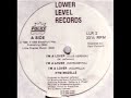 label:lower level records
format:vinyl, 12