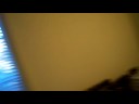Thumbnail #1
