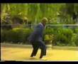 Taiji - Chen Style old form 1 & 2
