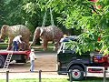 Elephants in Hyde Park! 4-18 Sept London