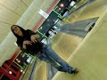bowling 24 mars