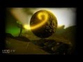 TRAUMA video apskats