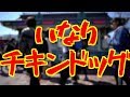 【大行列！？】いなりチキンドッグ（フードブース 2019年4月13日 TDL）